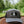 Dead Inside Hat