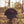 OG Demon Head Dad Hat